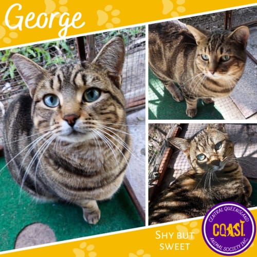 George