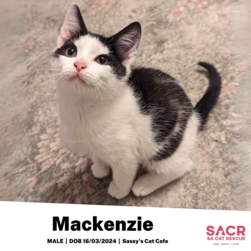 Mackenzie