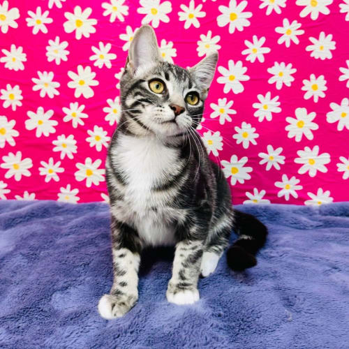 Happy - Located in Preston