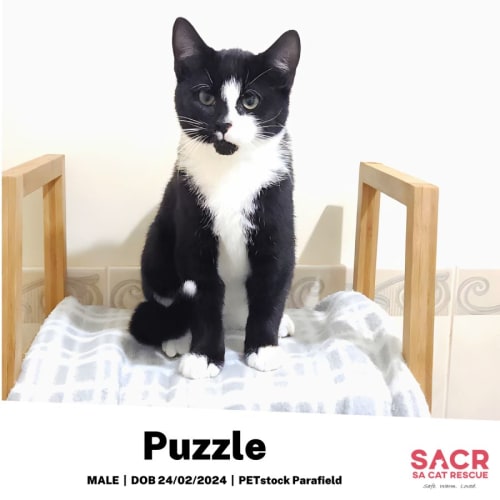 Puzzle