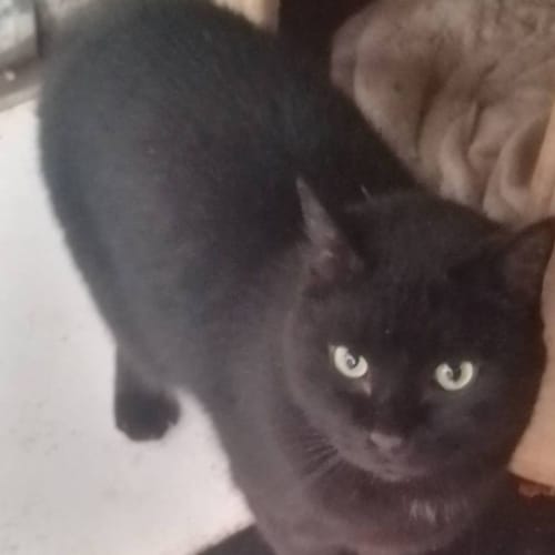 No photo for Polly Waffle And Kp