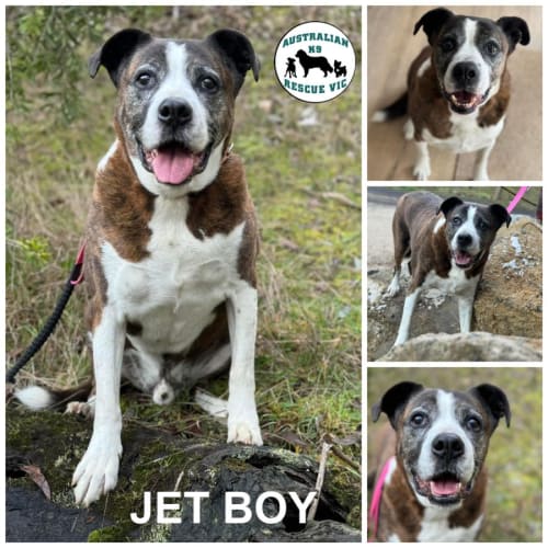 Jet Boy 
