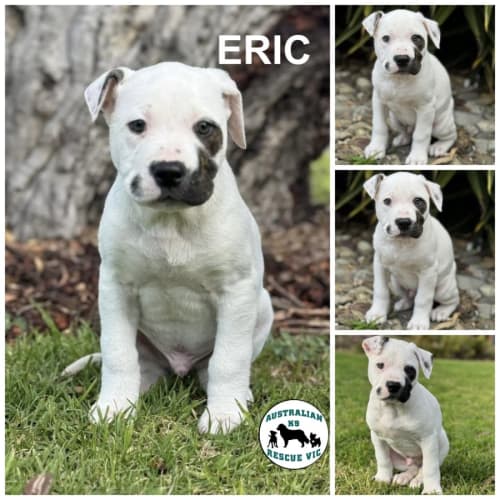 Eric 