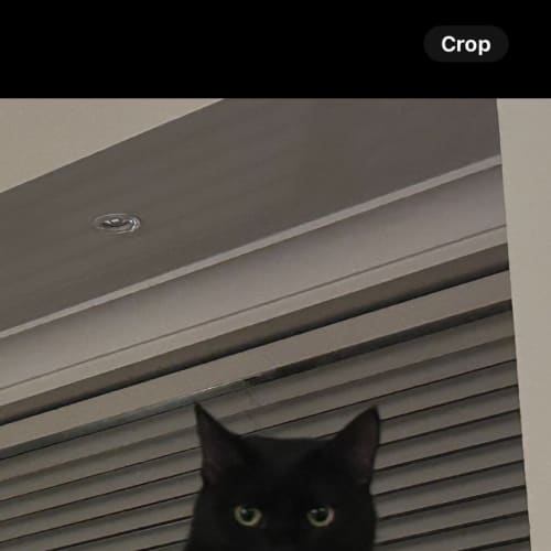 Freya