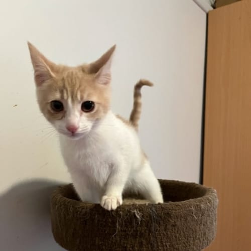 Marco - Located in Preston from July 28