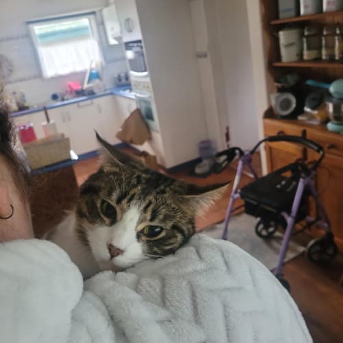 Bella meet me@Petstock keysborough store