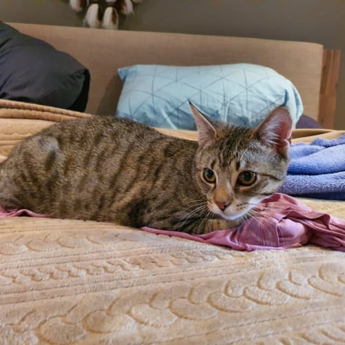 No photo for Mr.Mungy