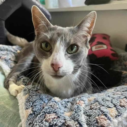 Matilda - Located in Preston