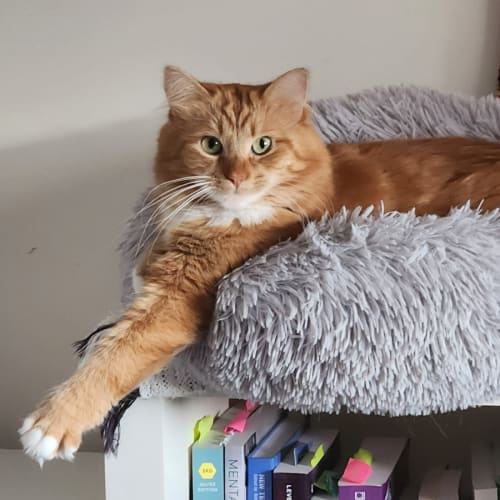 Savannah & Gretel🌷🌷