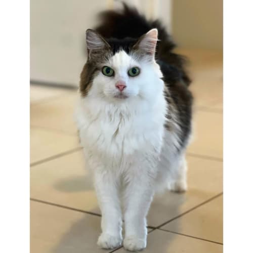 No photo for 2118   Juzzy