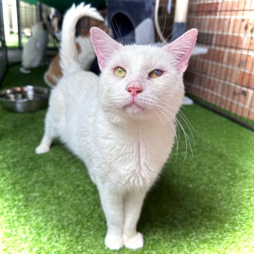 No photo for Nimbus ☁️🌤️