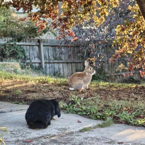 No photo for Ruby Destiny & Quinn