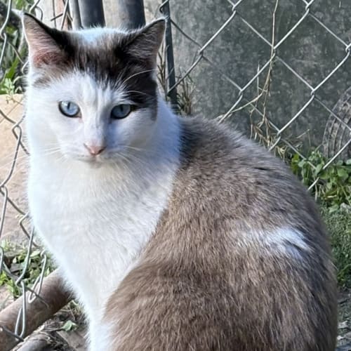 No photo for Maria (&Ava)