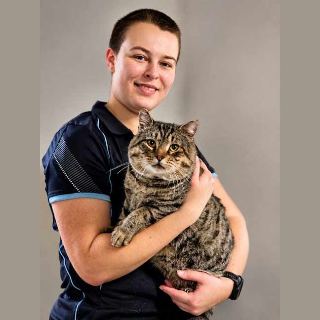 Photo of Chonky