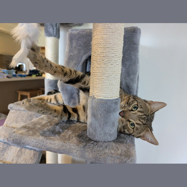 Photo of Leo