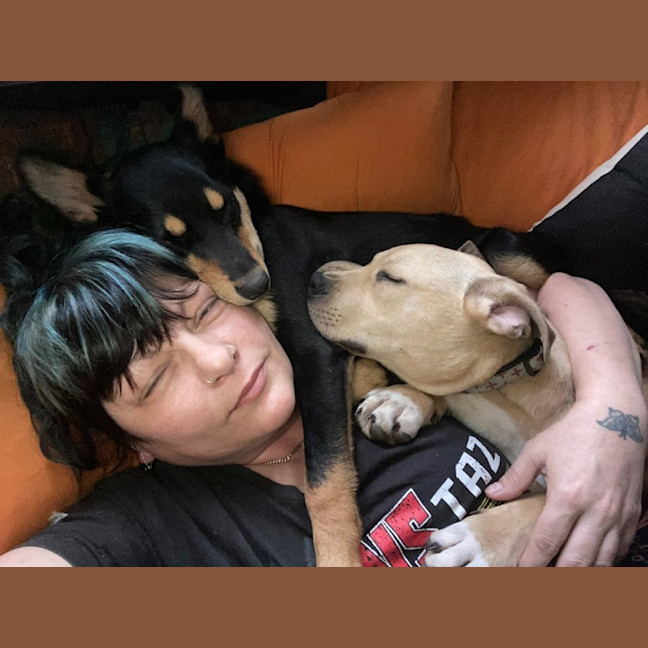 Photo of Zayne ~ 4 Month Old Male Staffy X