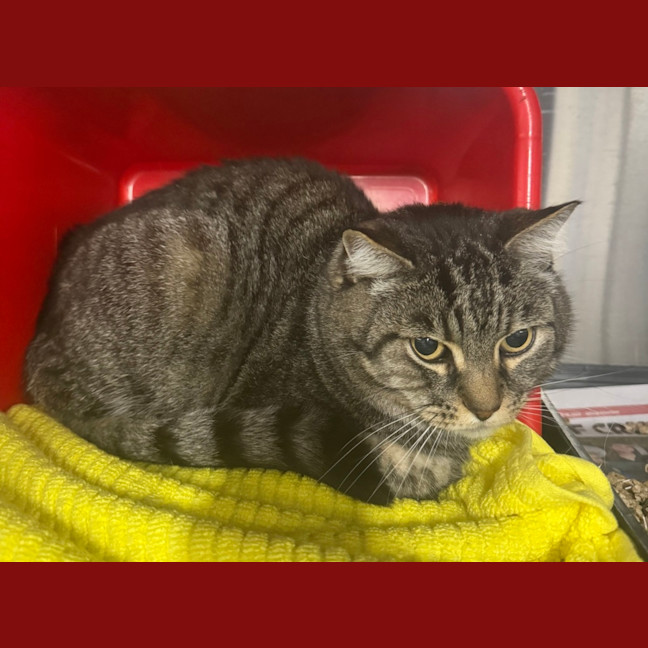 Photo of Jasper