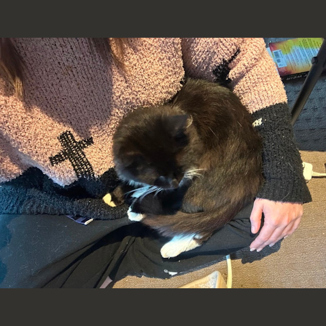 Photo of Mr Whiskers
