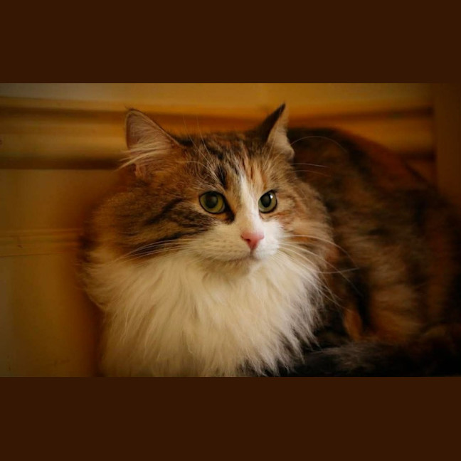 Photo of Mystic 