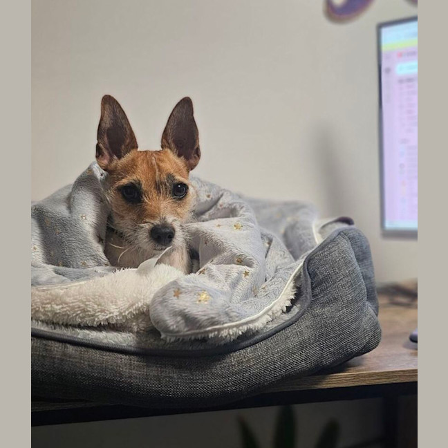 Photo of Murphy