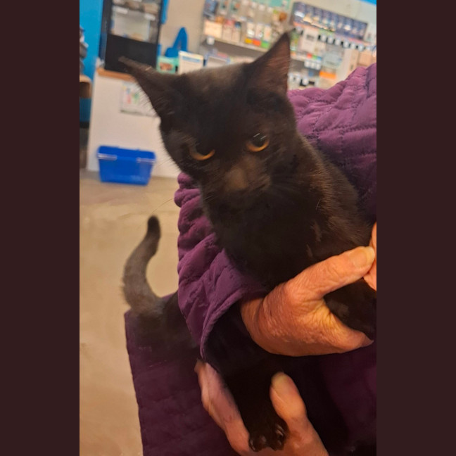 Photo of Kiki