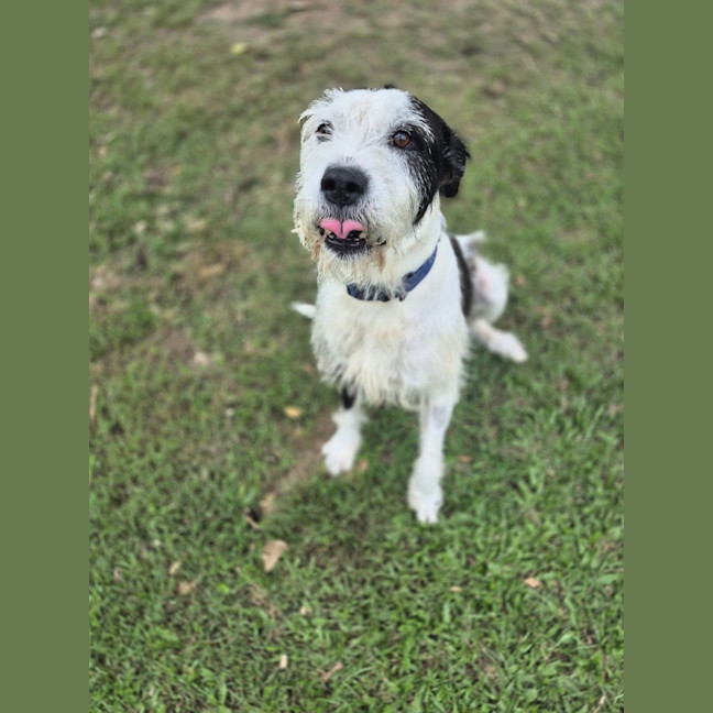 Photo of Marley
