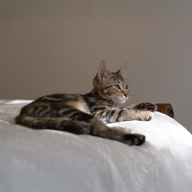 Photo of Betty Lou