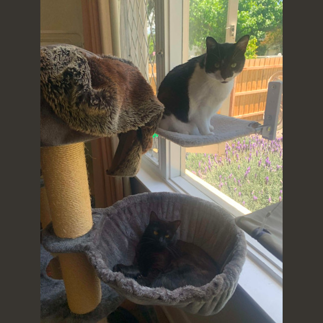 Photo of Montana & Maggie 