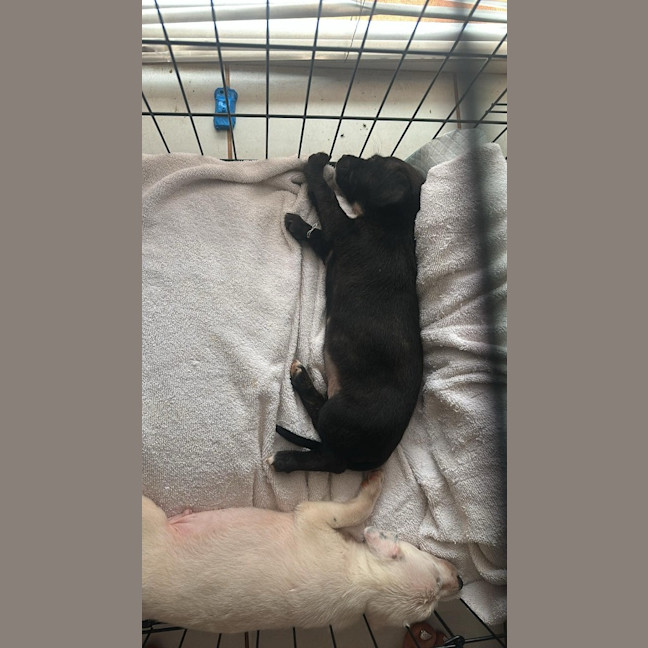 Photo of Zoe