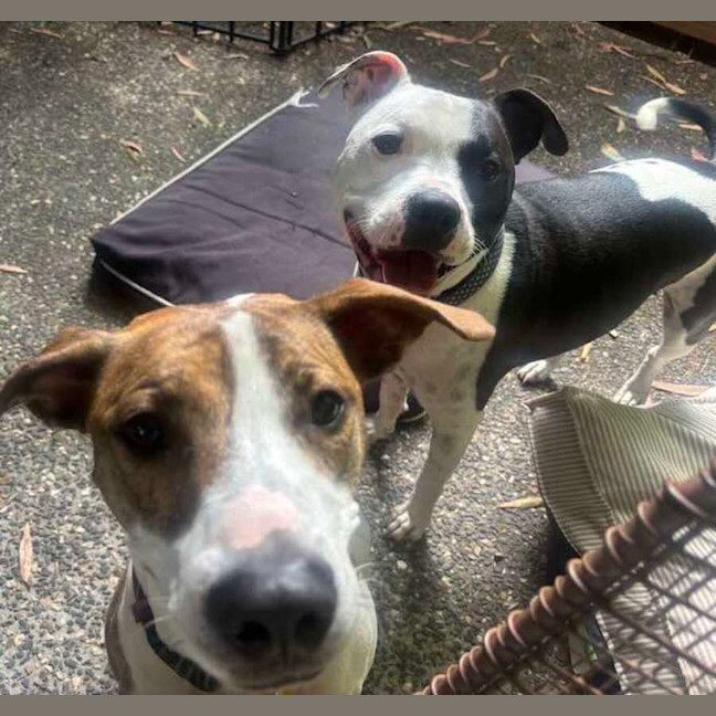Photo of Harley And Hazel