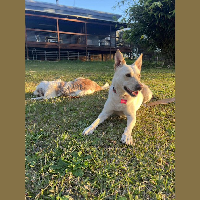 Photo of Tiny