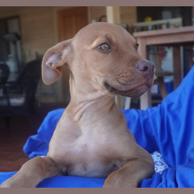 Photo of Ares