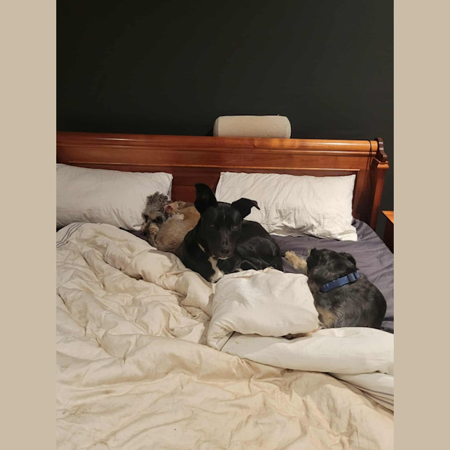Photo of Walter