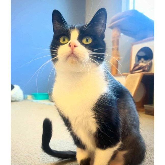 Photo of 12947   Fenella