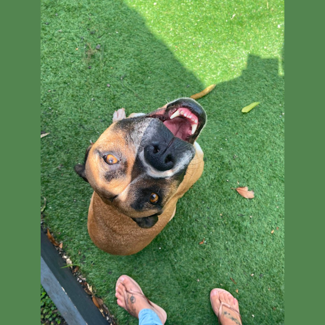 Photo of Bella 