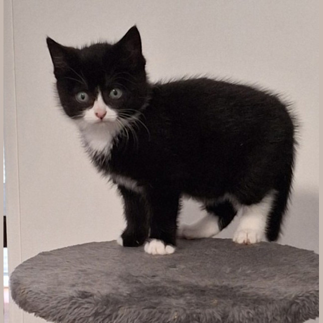 Photo of Elsie