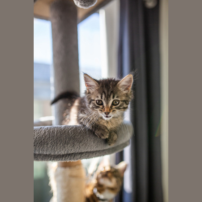 Photo of Stacys Sister