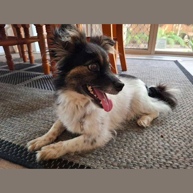 Photo of Betsy Moriarty