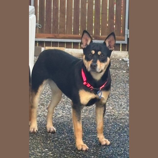 Photo of Tilly
