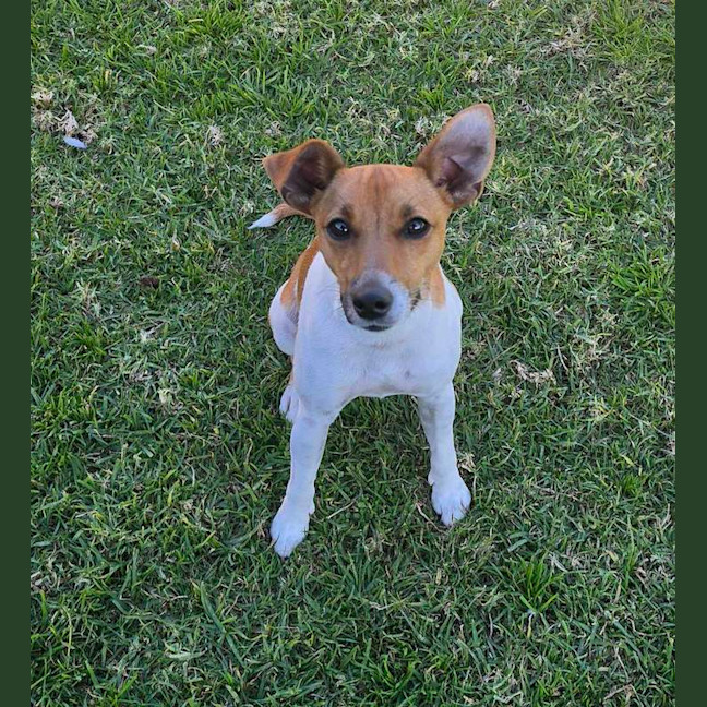 Photo of Chevy