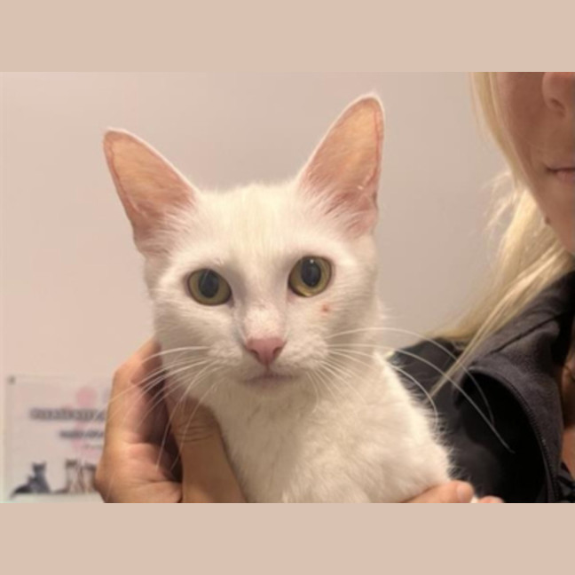 Photo of Cloud