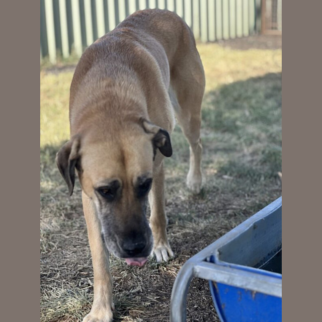 Photo of Summer