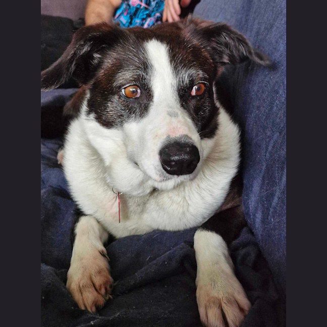 Photo of Winnebago 