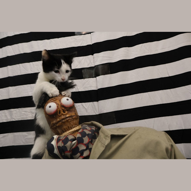 Photo of Betelgeuse