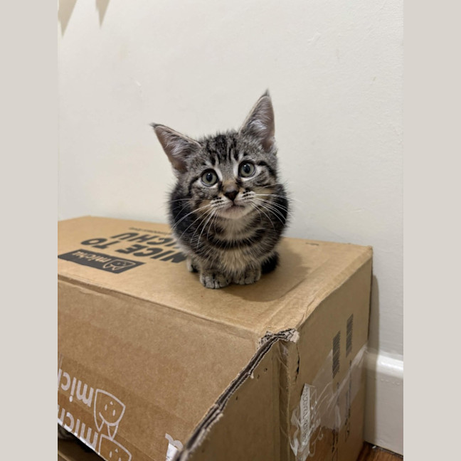 Photo of Terrance