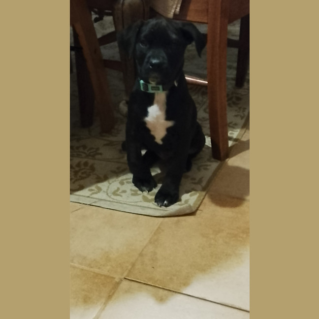 Photo of Tiny Dancer