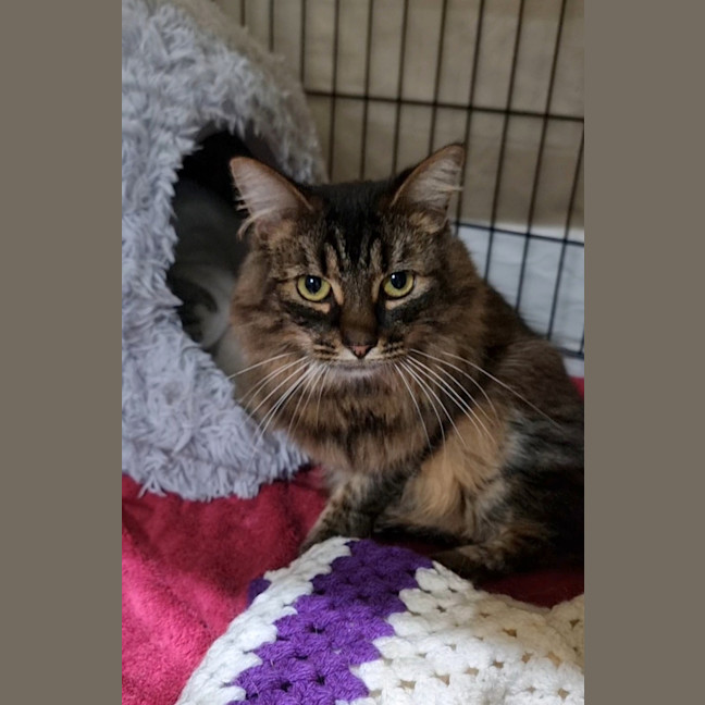 Photo of Storm
