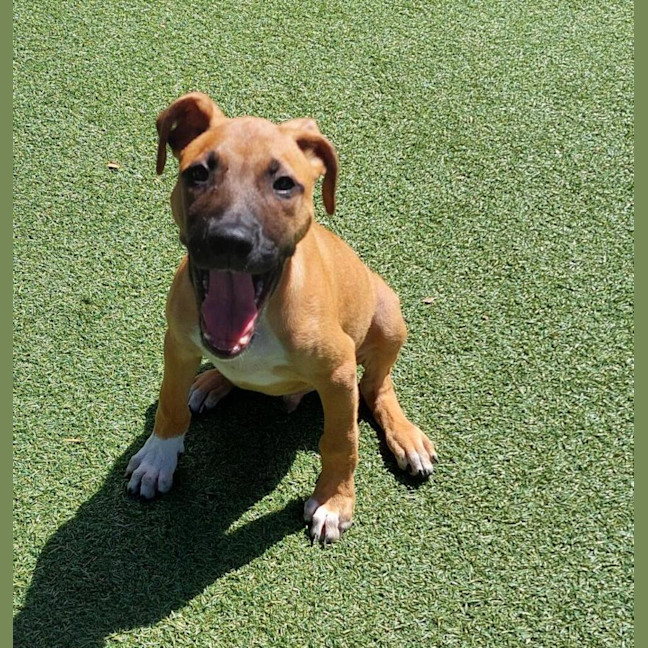 Photo of Silly