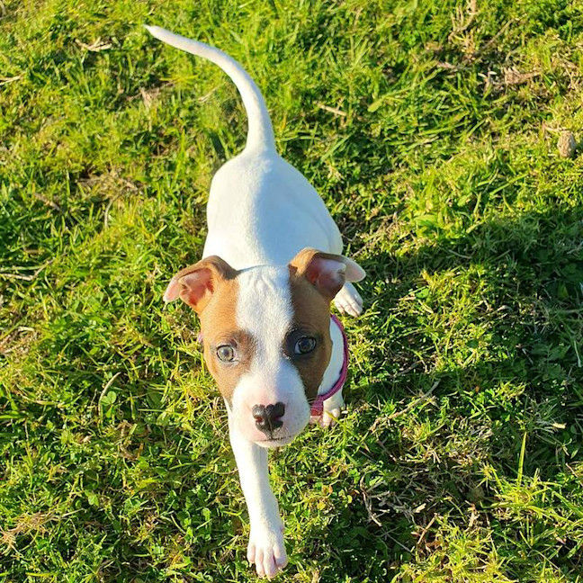 Photo of Lil P