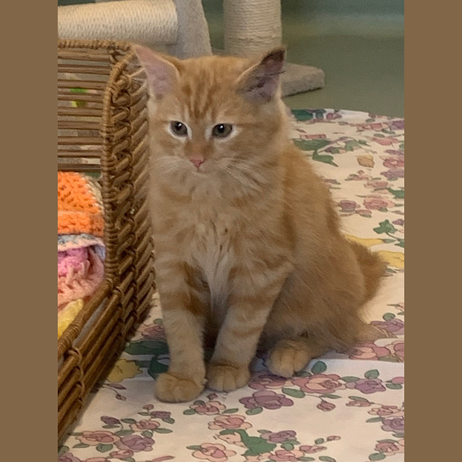 Photo of Fiyero